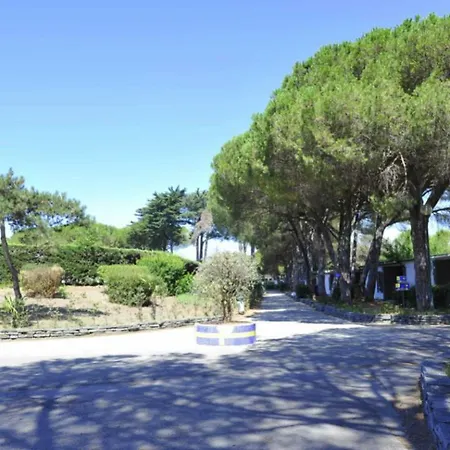 Apartment- Type A Resort